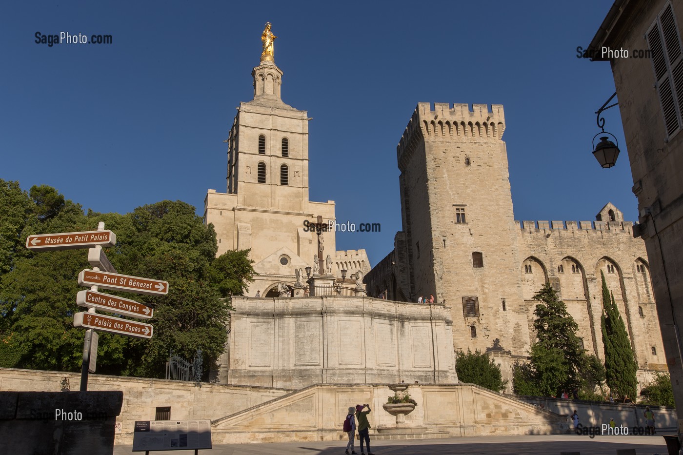 CATHEDRALE NOTRE DAME DES DOMS D'AVIGNON, VILLE D'AVIGNON APPELEE CITE DES PAPES, VAUCLUSE (84), FRANCE 