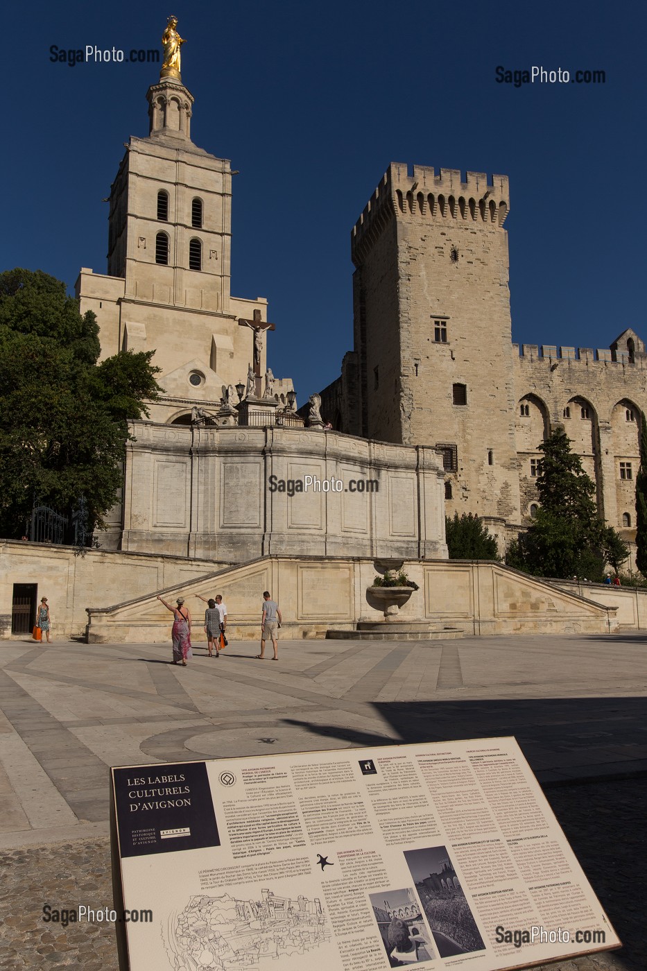 CATHEDRALE NOTRE DAME DES DOMS D'AVIGNON, VILLE D'AVIGNON APPELEE CITE DES PAPES, VAUCLUSE (84), FRANCE 