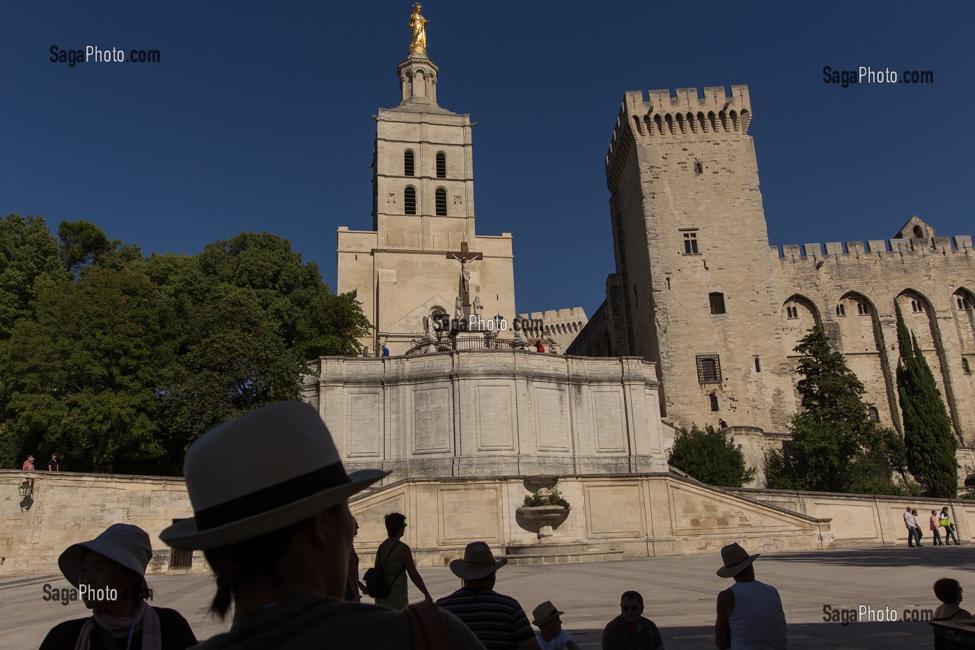 CATHEDRALE NOTRE DAME DES DOMS D'AVIGNON, VILLE D'AVIGNON APPELEE CITE DES PAPES, VAUCLUSE (84), FRANCE 