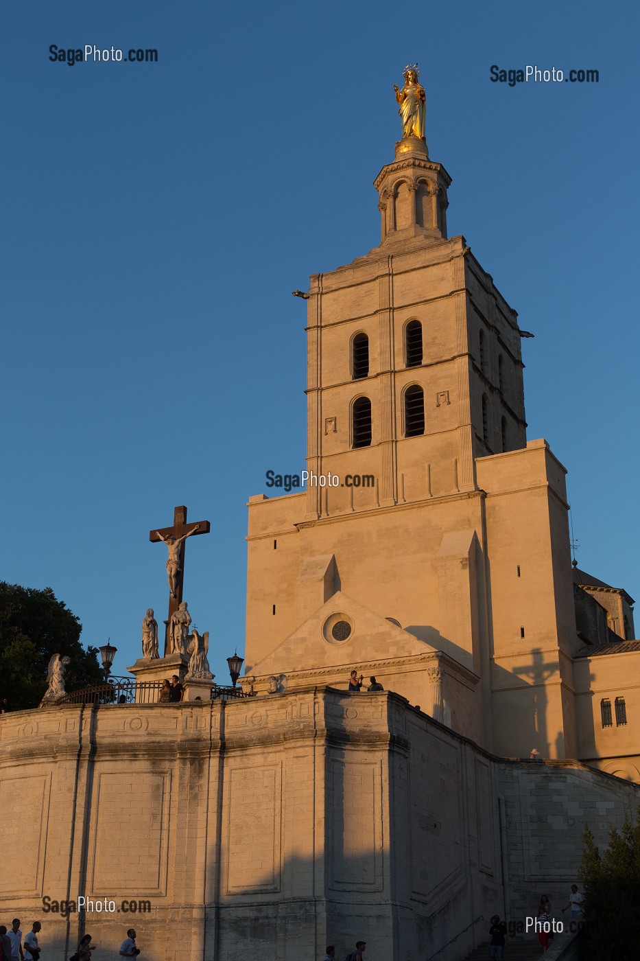 CATHEDRALE NOTRE DAME DES DOMS D'AVIGNON, VILLE D'AVIGNON APPELEE CITE DES PAPES, VAUCLUSE (84), FRANCE 