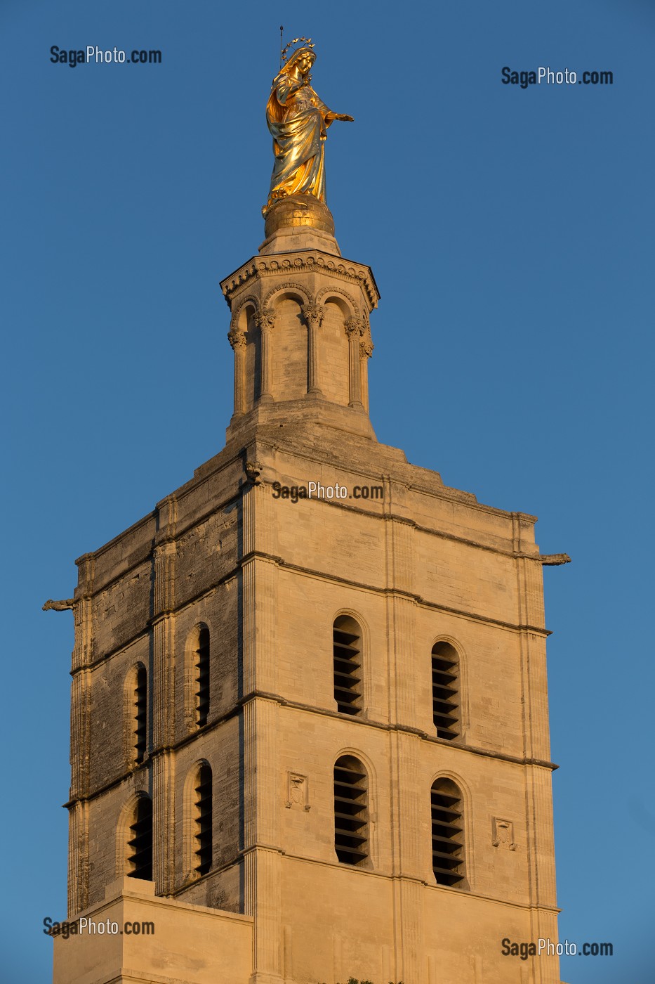 CATHEDRALE NOTRE DAME DES DOMS D'AVIGNON, VILLE D'AVIGNON APPELEE CITE DES PAPES, VAUCLUSE (84), FRANCE 