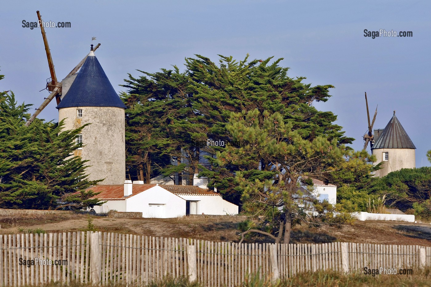 LES MOULINS DE BARBATRE, ILE DE NOIRMOUTIER, VENDEE (85), FRANCE 