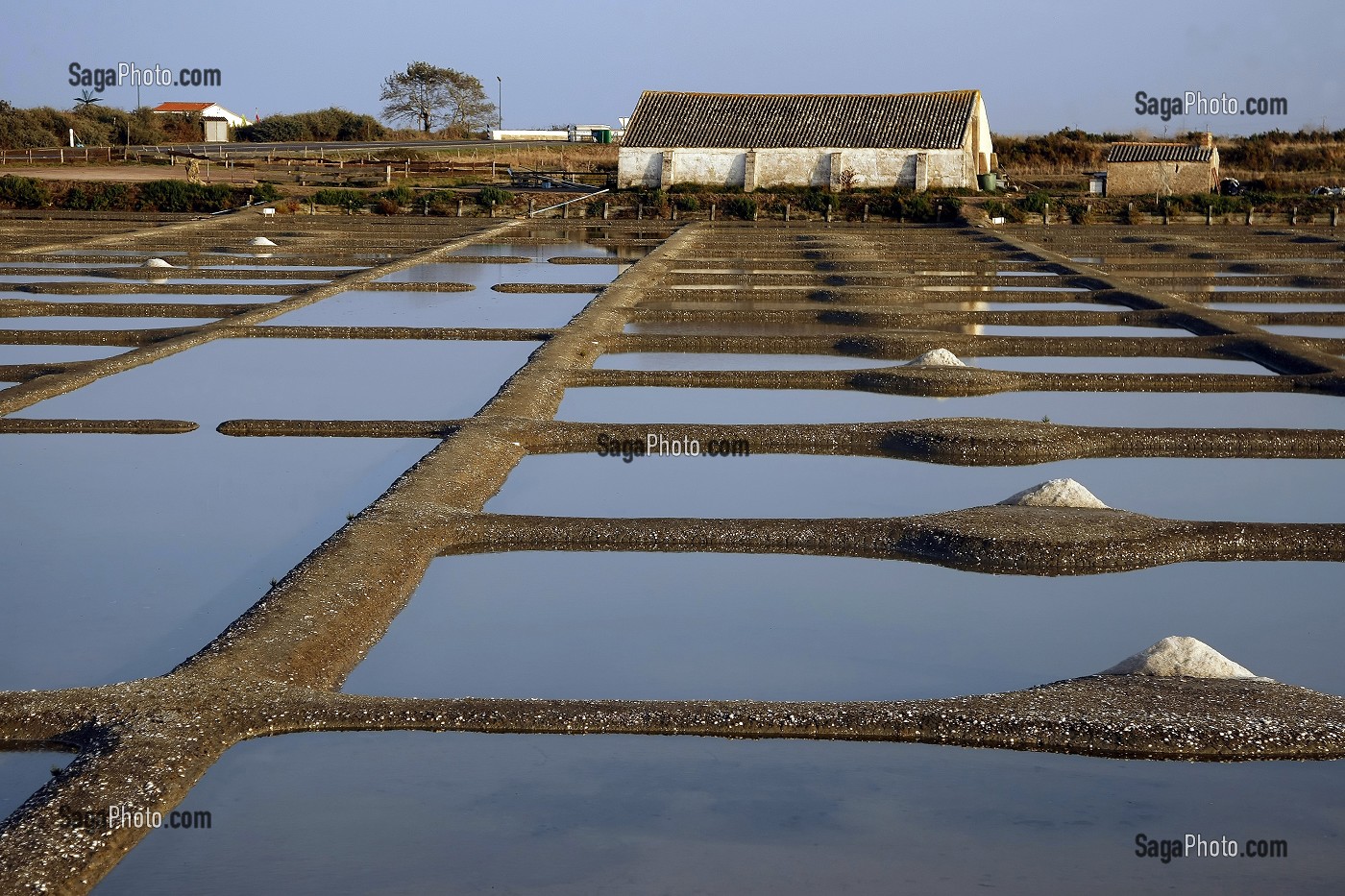 LES MARAIS SALANTS, ILE DE NOIRMOUTIER, VENDEE (85), FRANCE 