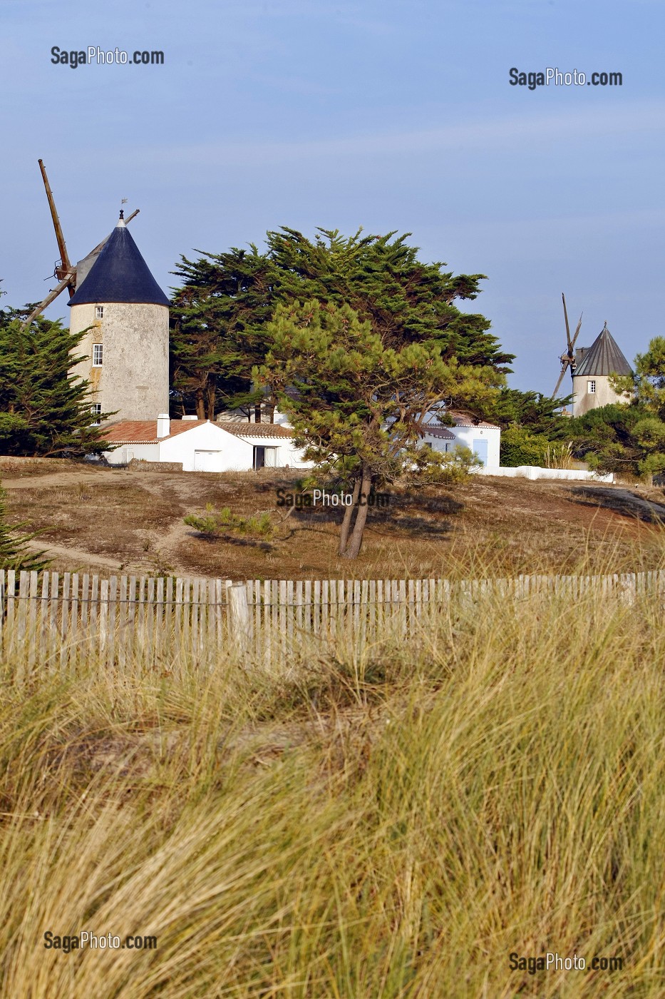 LES MOULINS DE BARBATRE, ILE DE NOIRMOUTIER, VENDEE (85), FRANCE 