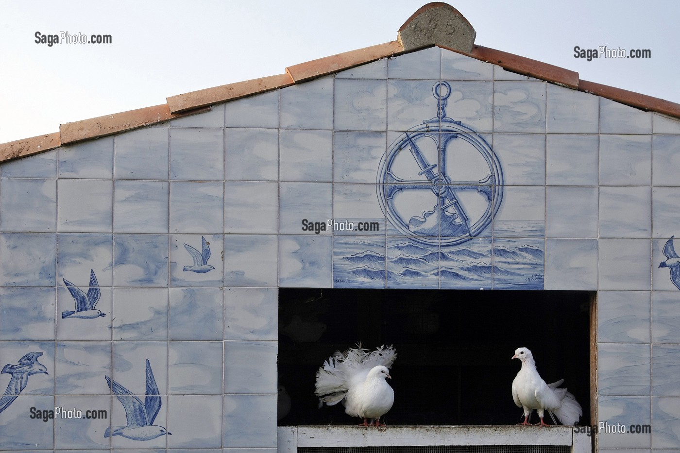 PIGEONNIER EN AZULEJOS, BLANC MARINE, CHAMBRES ET MAISON D'HOTES 'CLEVACANCES' ET 'GITES DE FRANCE', NOIRMOUTIER, VENDEE (85), FRANCE 