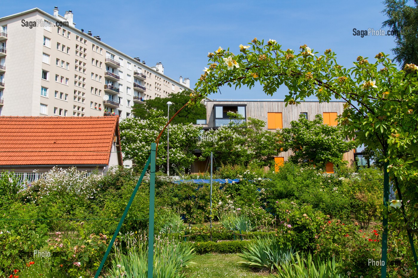 JARDIN-ECOLE, SOCIETE REGIONALE D'HORTICULTURE, S.R.H.M., MONTREUIL-SOUS-BOIS, SEINE-SAINT-DENIS (93), ILE-DE-FRANCE, FRANCE 