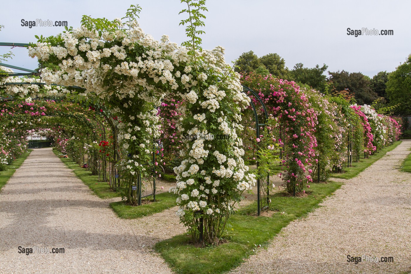 Parc De La Roseraie L Hay Les Roses photo de PARC DE LA ROSERAIE DU VAL DE MARNE, FONDE EN 1894 PAR JULES