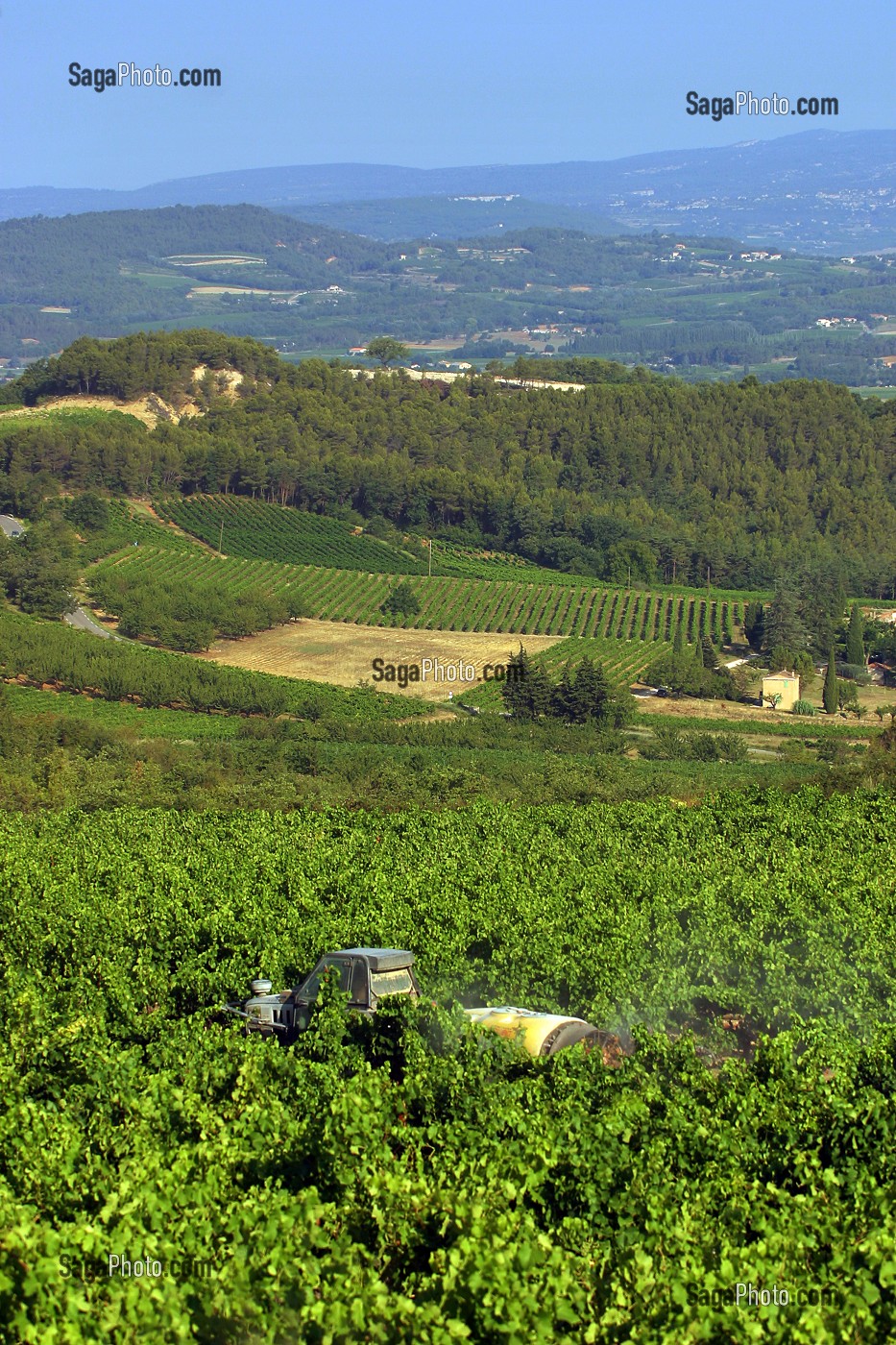 TRAITEMENT PHYTOSANITAIRE DANS LE VIGNOBLE DU LUBERON 