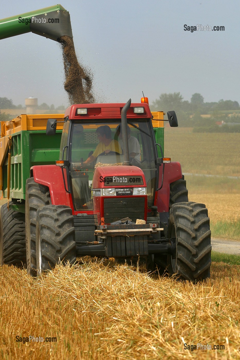 MOISSON D'AVOINE, TRACTEUR, BENNE, MOISSONNEUSE-BATTEUSE, ORNE (61) 