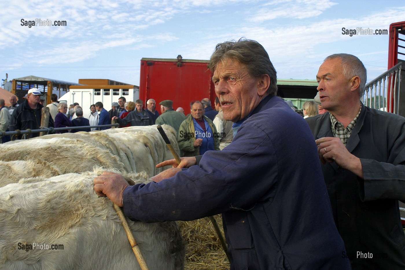 photo de MARCHANDS DE BESTIAUX A LA FOIRE DE MONTILLY, ORNE (61)