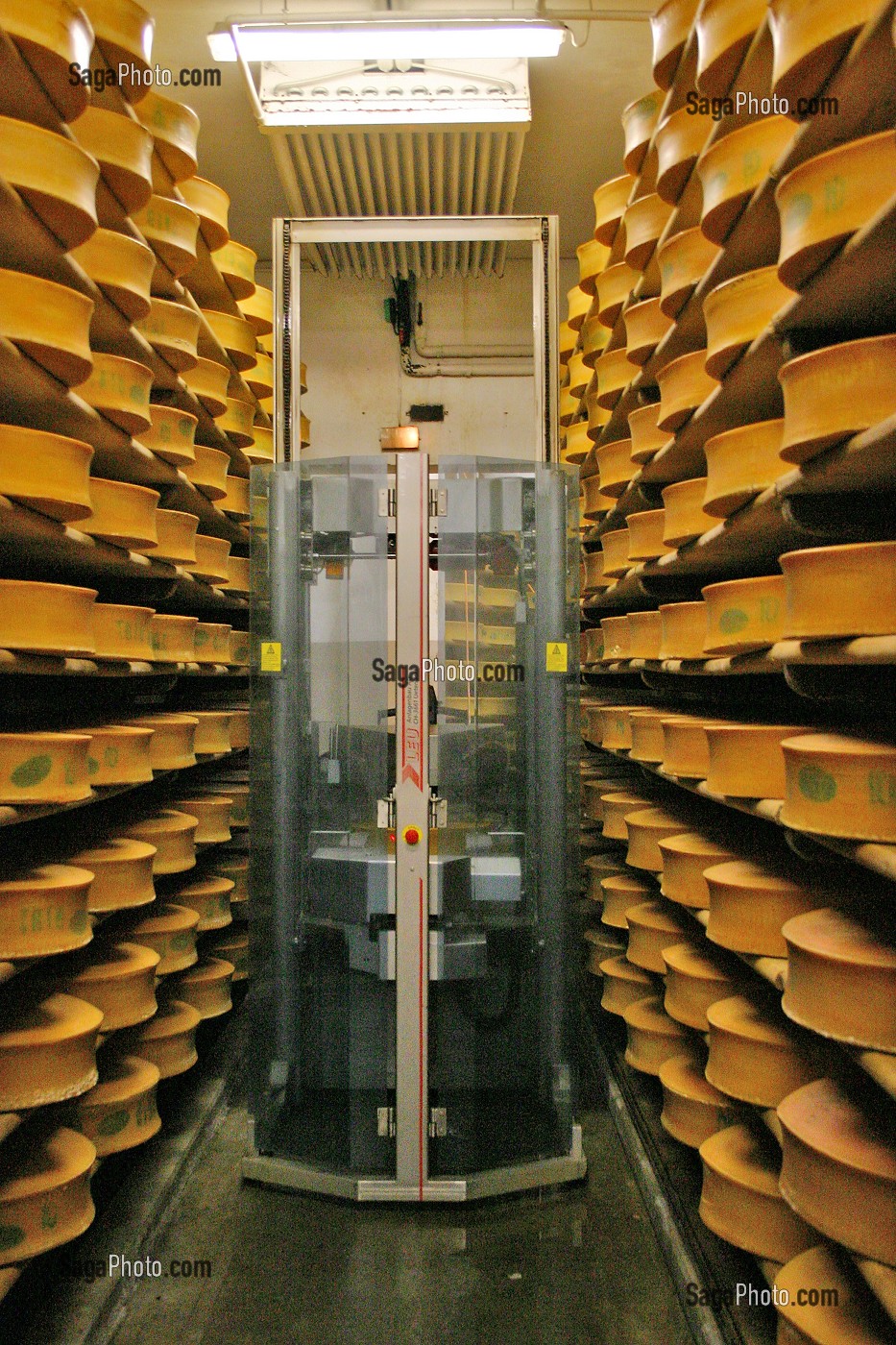 FABRICATION D'UNE MEULE DE FROMAGE DE BEAUFORT D'ALPAGE D'ETE, BEAUFORTAIN, SAVOIE (73) 