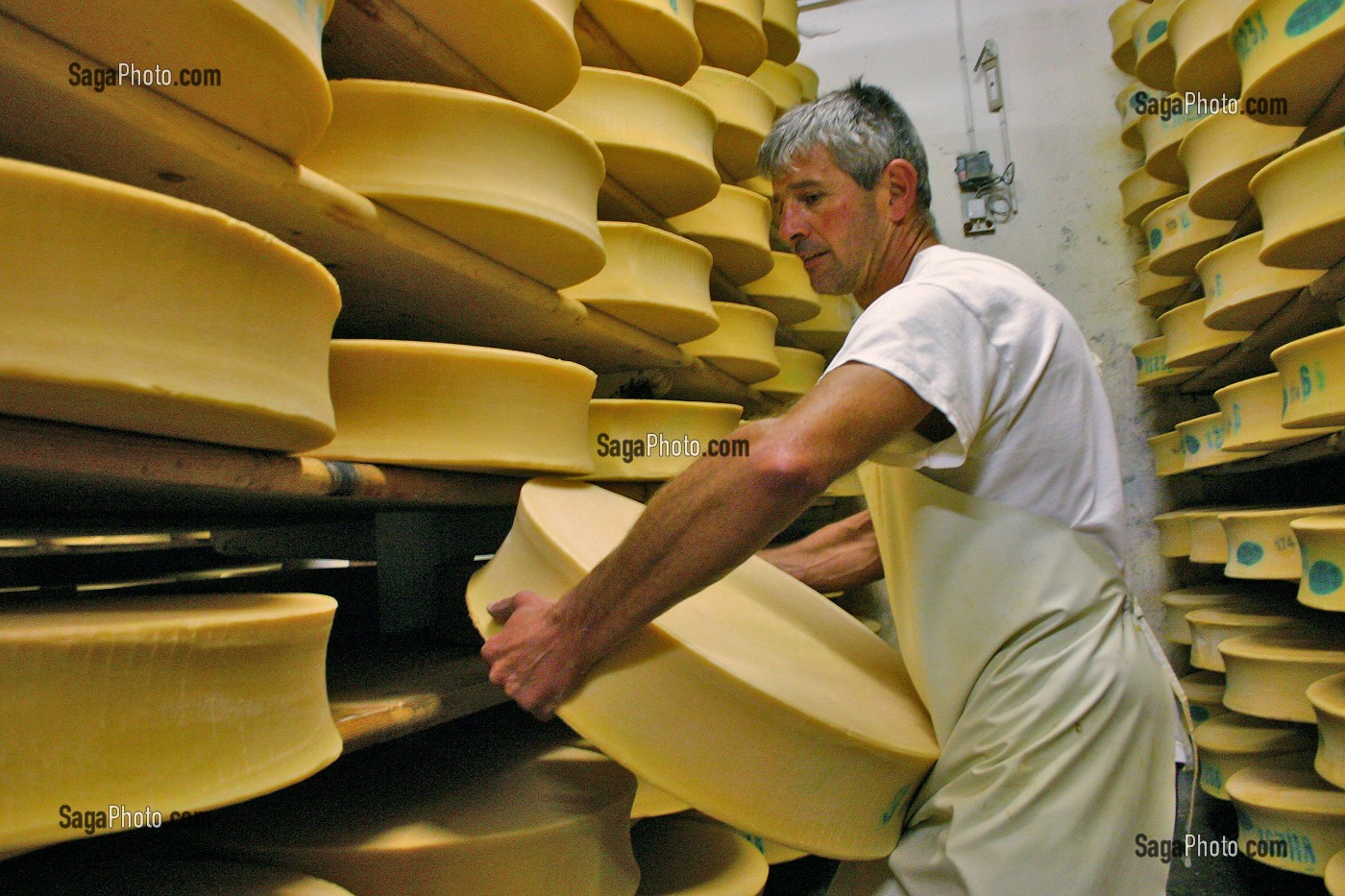 FABRICATION D'UNE MEULE DE FROMAGE DE BEAUFORT D'ALPAGE D'ETE, BEAUFORTAIN, SAVOIE (73) 