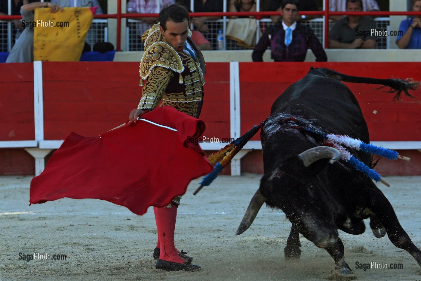 CORRIDA DE TOROS, TAUREAU DE COMBAT CROISES CAMARGUE - ESPAGNOL, ARENE DE SAINT GILLES, MISE A MORT, TOREADOR, GARD (30) 