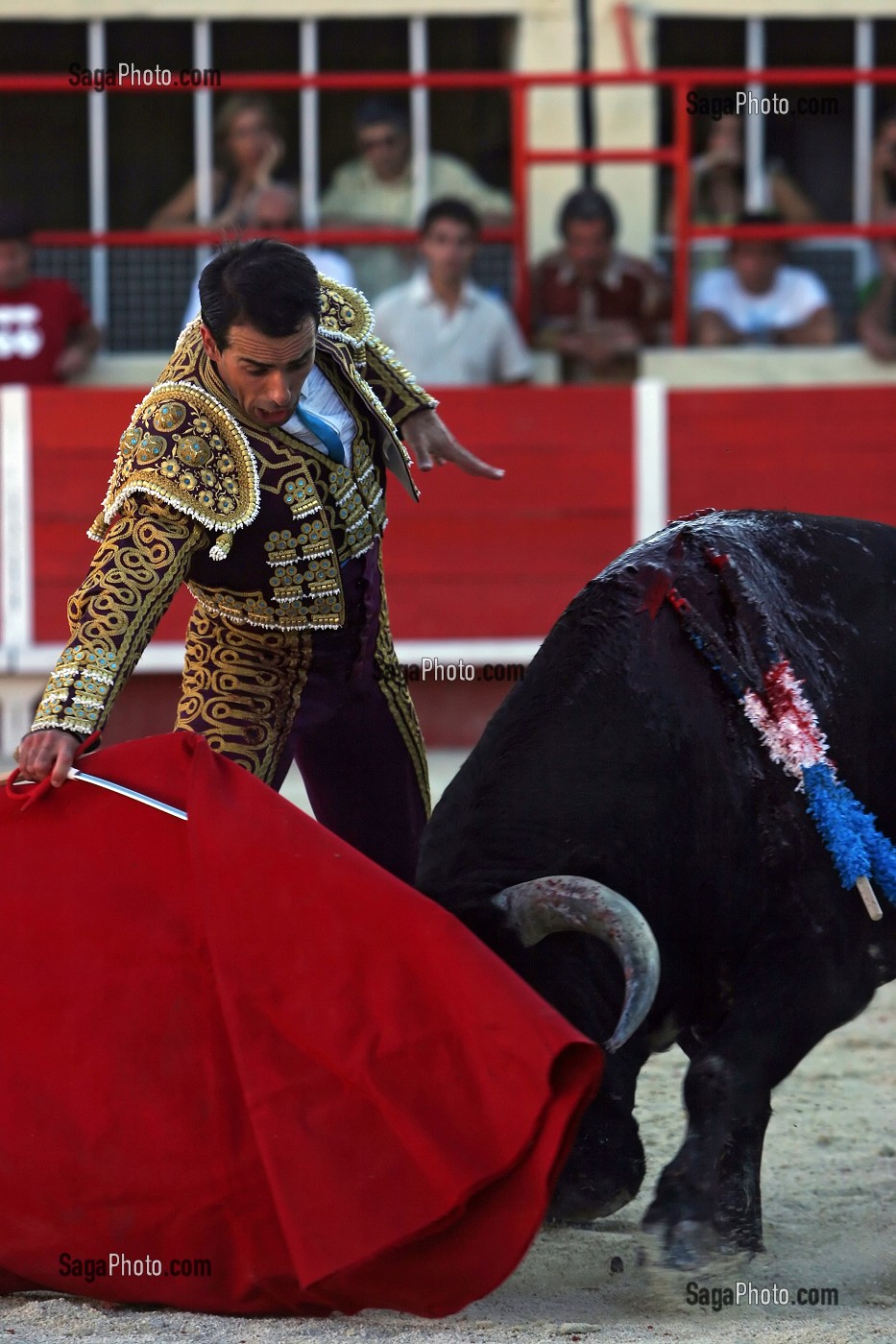 CORRIDA DE TOROS, TAUREAU DE COMBAT CROISES CAMARGUE - ESPAGNOL, ARENE DE SAINT GILLES, MISE A MORT, TOREADOR, GARD (30) 