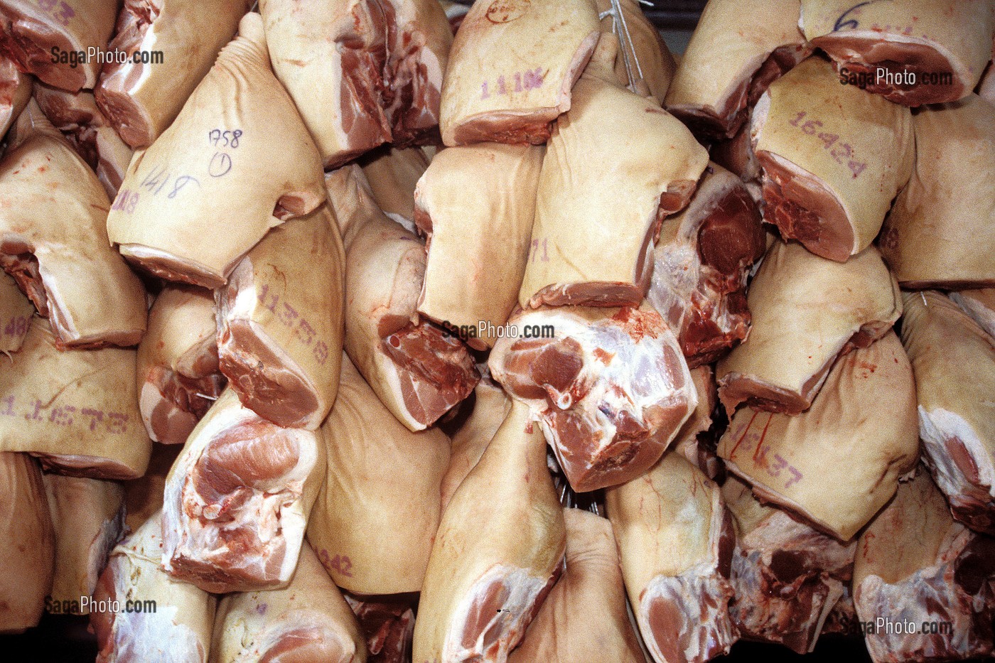 JAMBONS ET JARRETS DE PORCS DANS UN ABATTOIR, BRETAGNE, FRANCE 