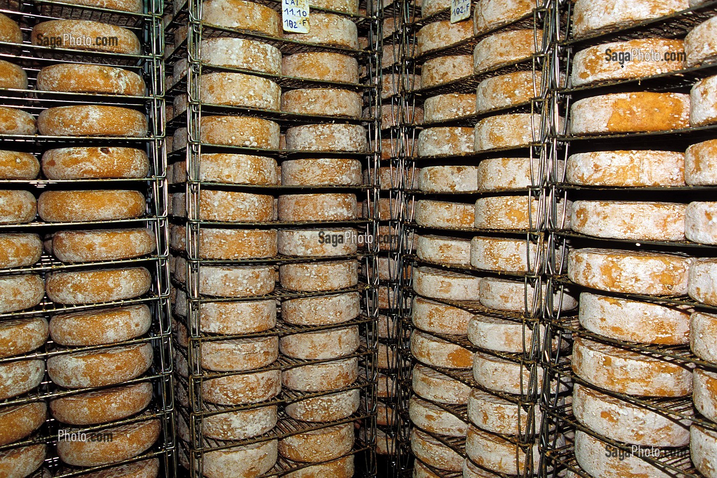 AFFINAGE DE FROMAGES DE MONTAGNE, ARIEGE (09), FRANCE 