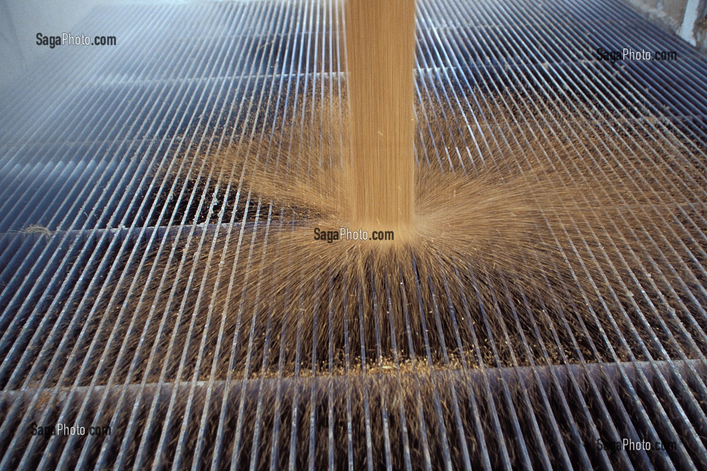 DECHARGEMENT D'UNE REMORQUE DE BLE A LA COOPERATIVE AGRICOLE, BEAUCE, EURE-ET-LOIR (28), FRANCE 
