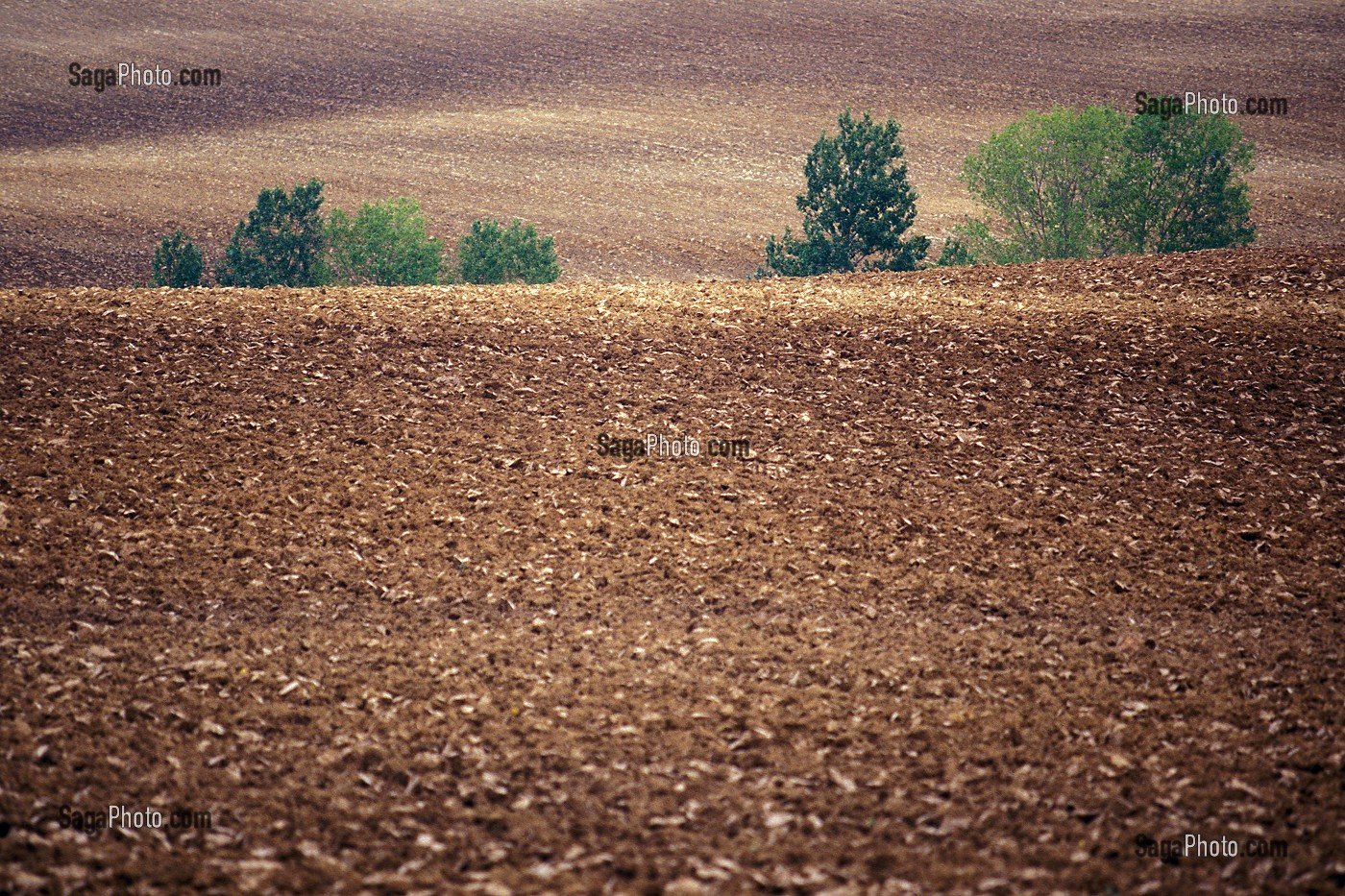 CHAMP LABOURE, PERCHE, EURE-ET-LOIR (28), FRANCE 
