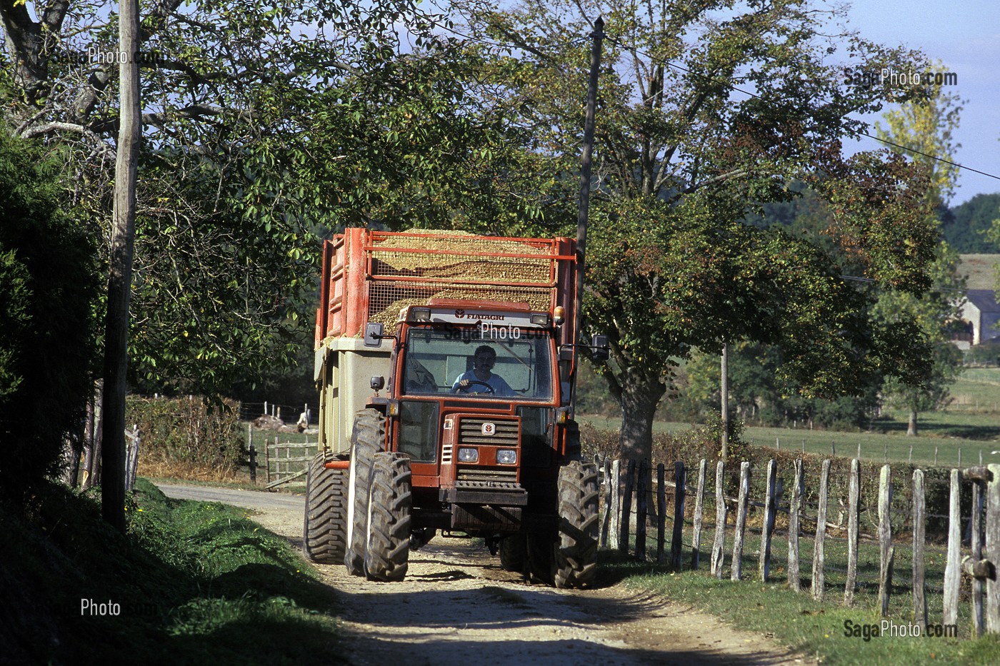 TRANSPORT DE RECOLTE, ENSILAGE DE MAIS, DORDOGNE, FRANCE 