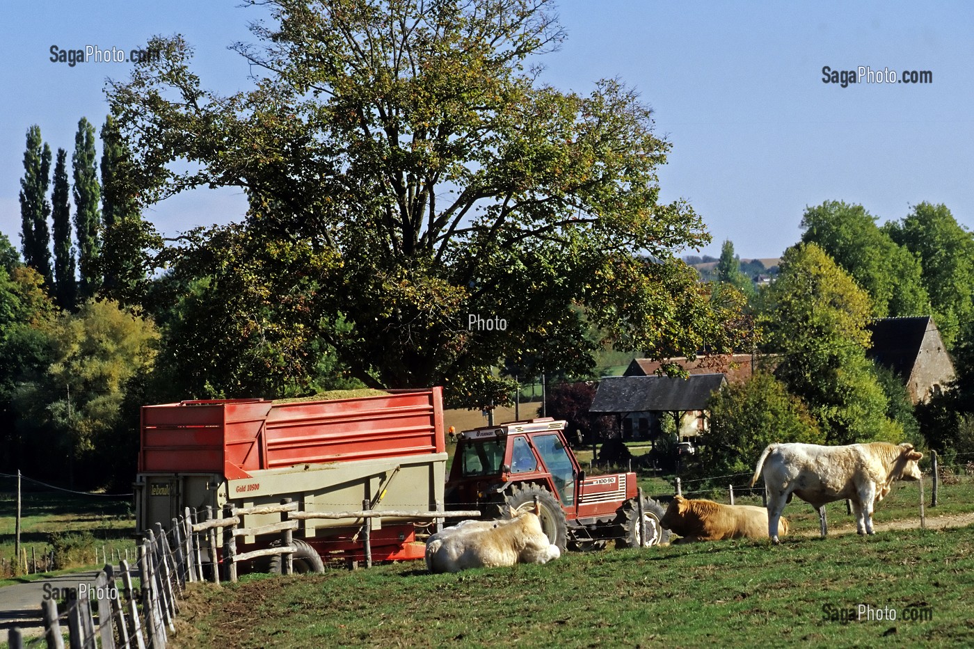 TRACTEUR ET VACHES DEVANT UNE FERME DE DORDOGNE (24), FRANCE 
