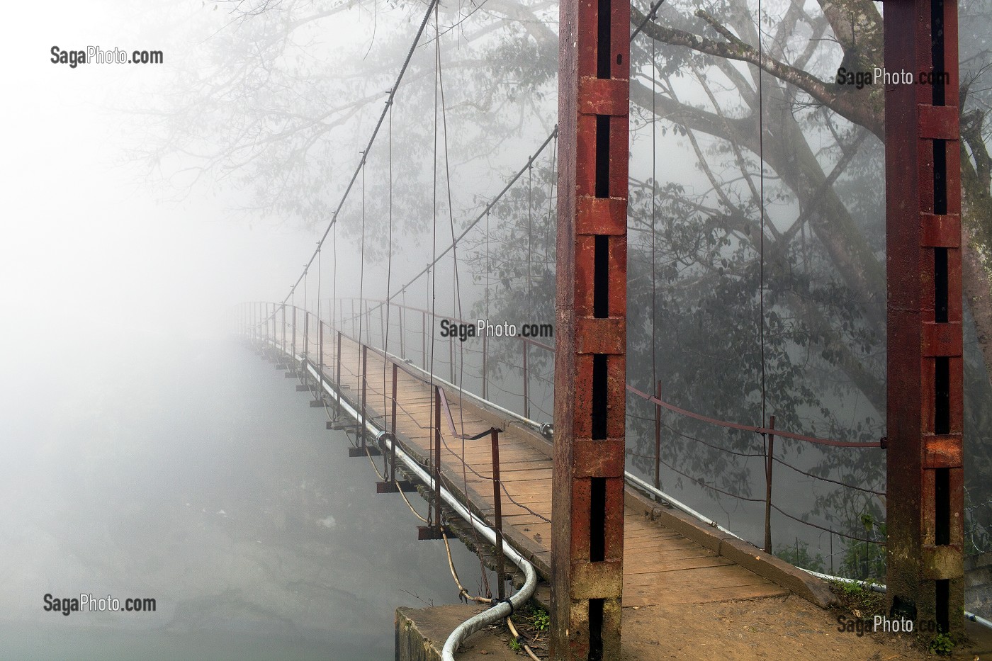 ILLUSTRATION VIETNAM 