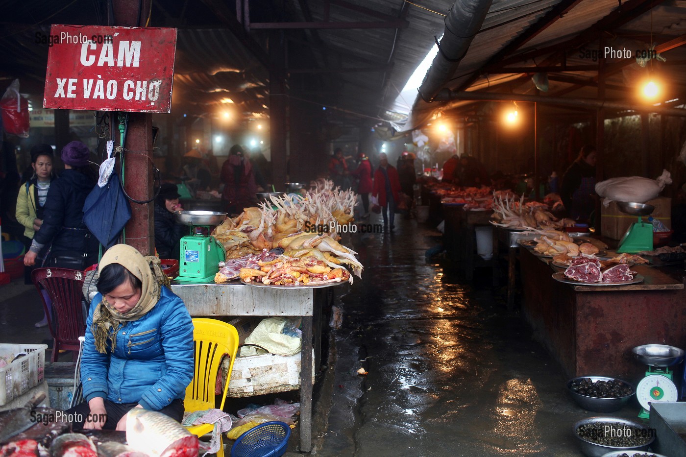 ILLUSTRATION VIETNAM 