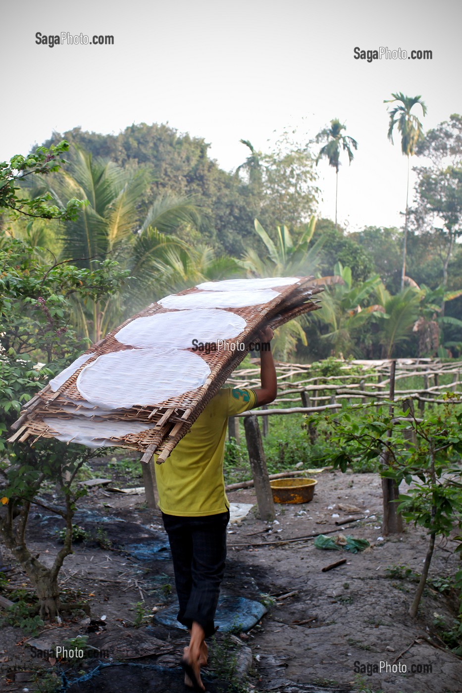 ILLUSTRATION VIETNAM 