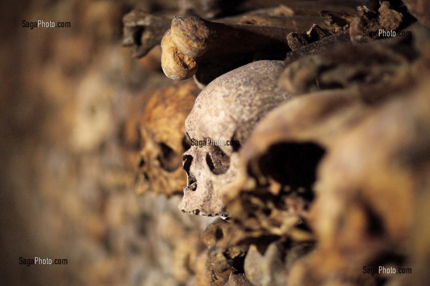 CATACOMBES DE PARIS 