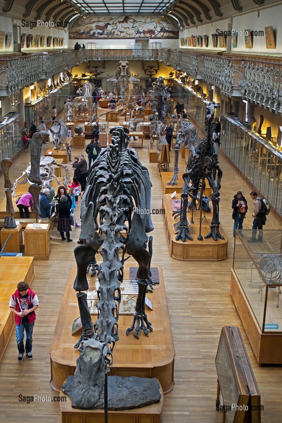 GALERIE DE PALEONTOLOGIE ET D'ANATOMIE COMPAREE 