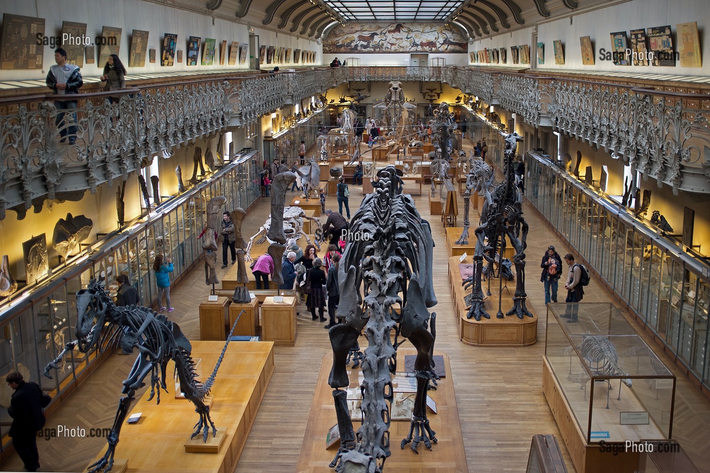 GALERIE DE PALEONTOLOGIE ET D'ANATOMIE COMPAREE 