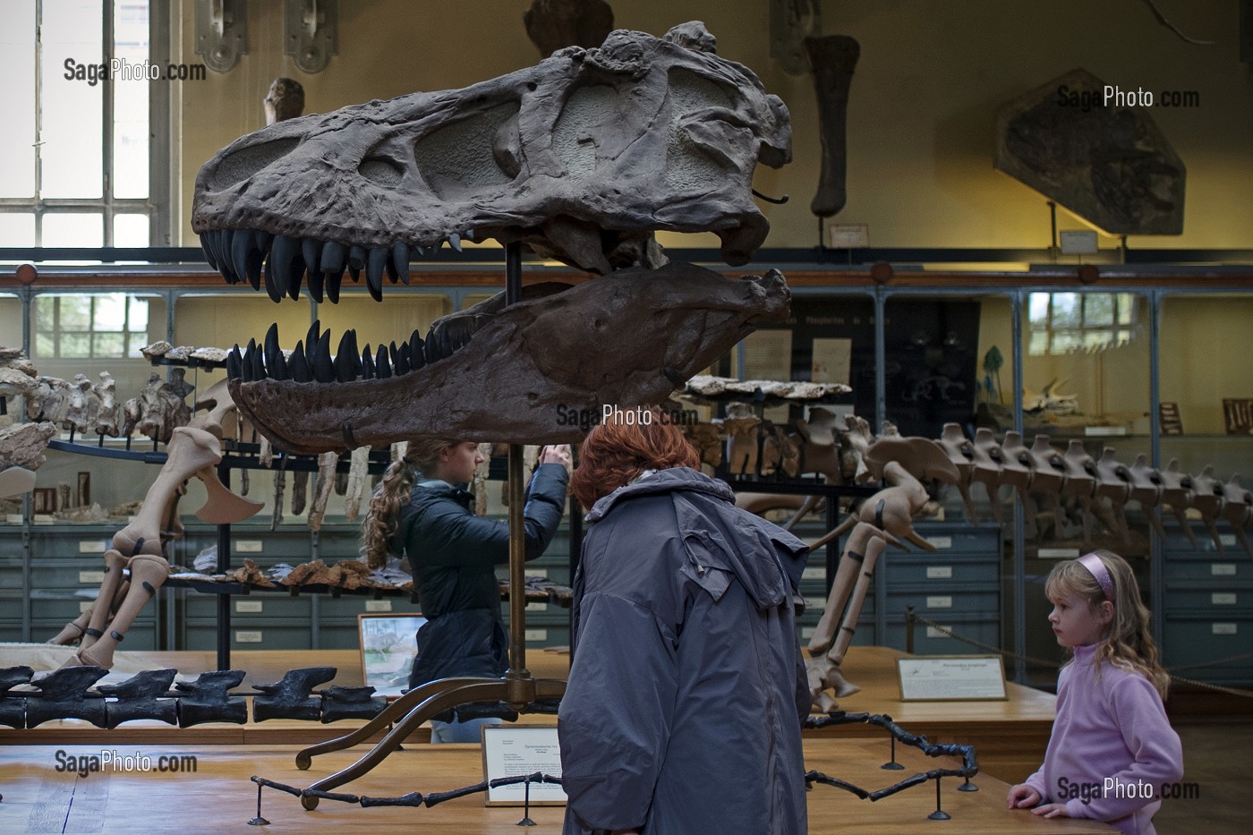 GALERIE DE PALEONTOLOGIE ET D'ANATOMIE COMPAREE 