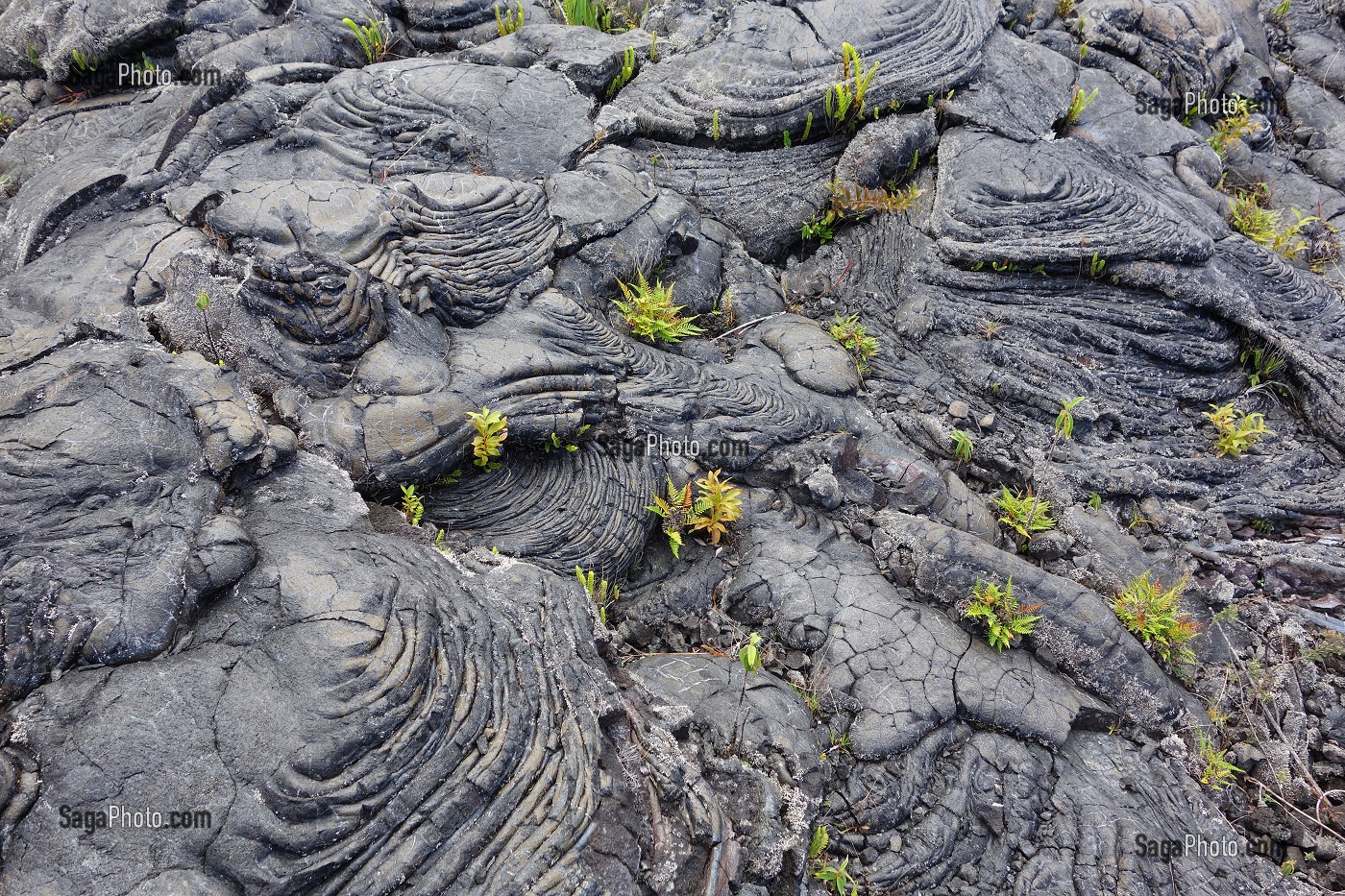 L'ILE DE LA REUNION, DOM-TOM, FRANCE 