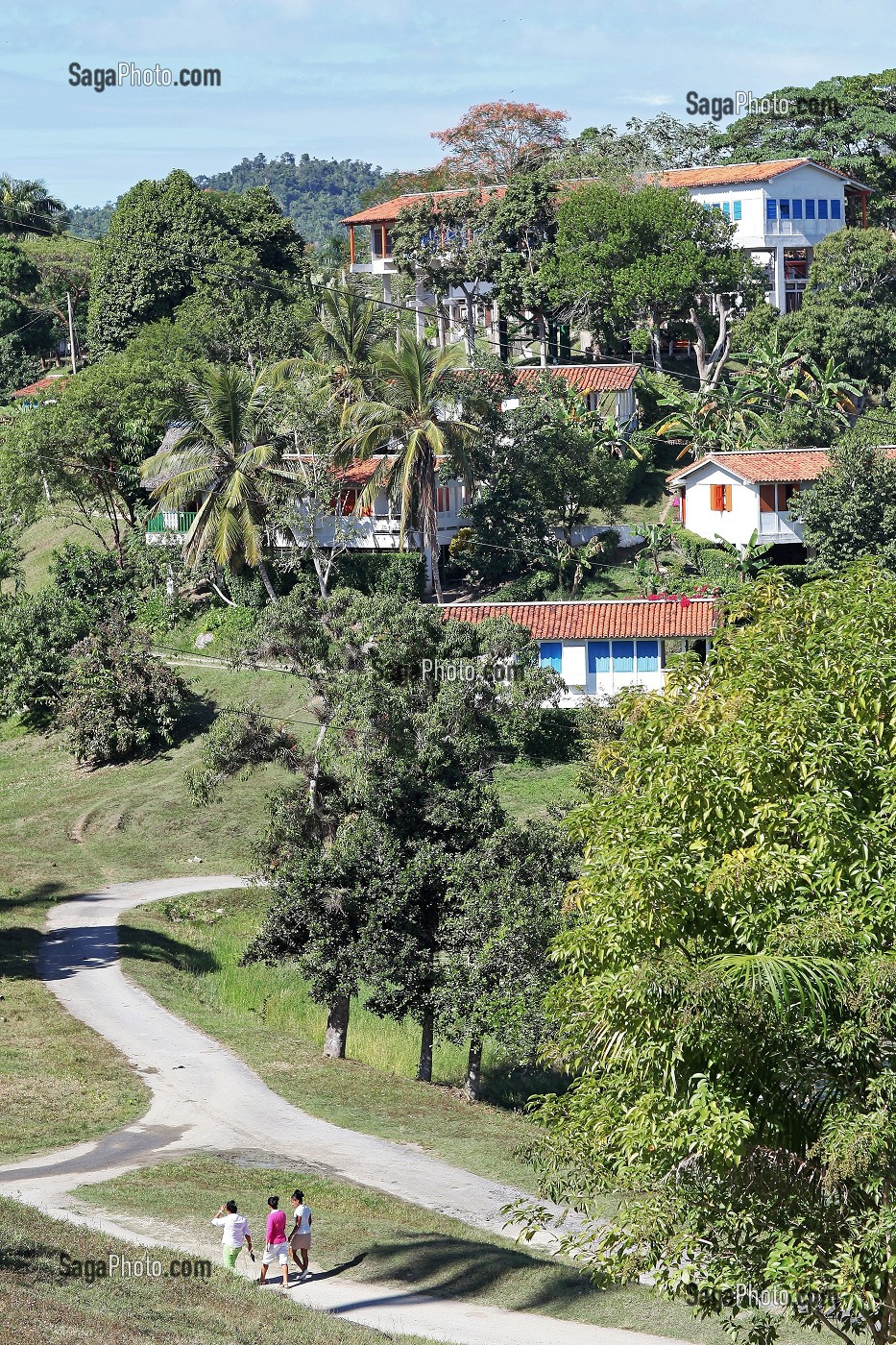 VILLAGE ECOLOGIQUE DE LAS TERRAZAS, BIOSPHERE CLASSEE RESERVE MONDIALE AU PATRIMOINE DE L'HUMANITE PAR L'UNESCO, CUBA, CARAIBES 