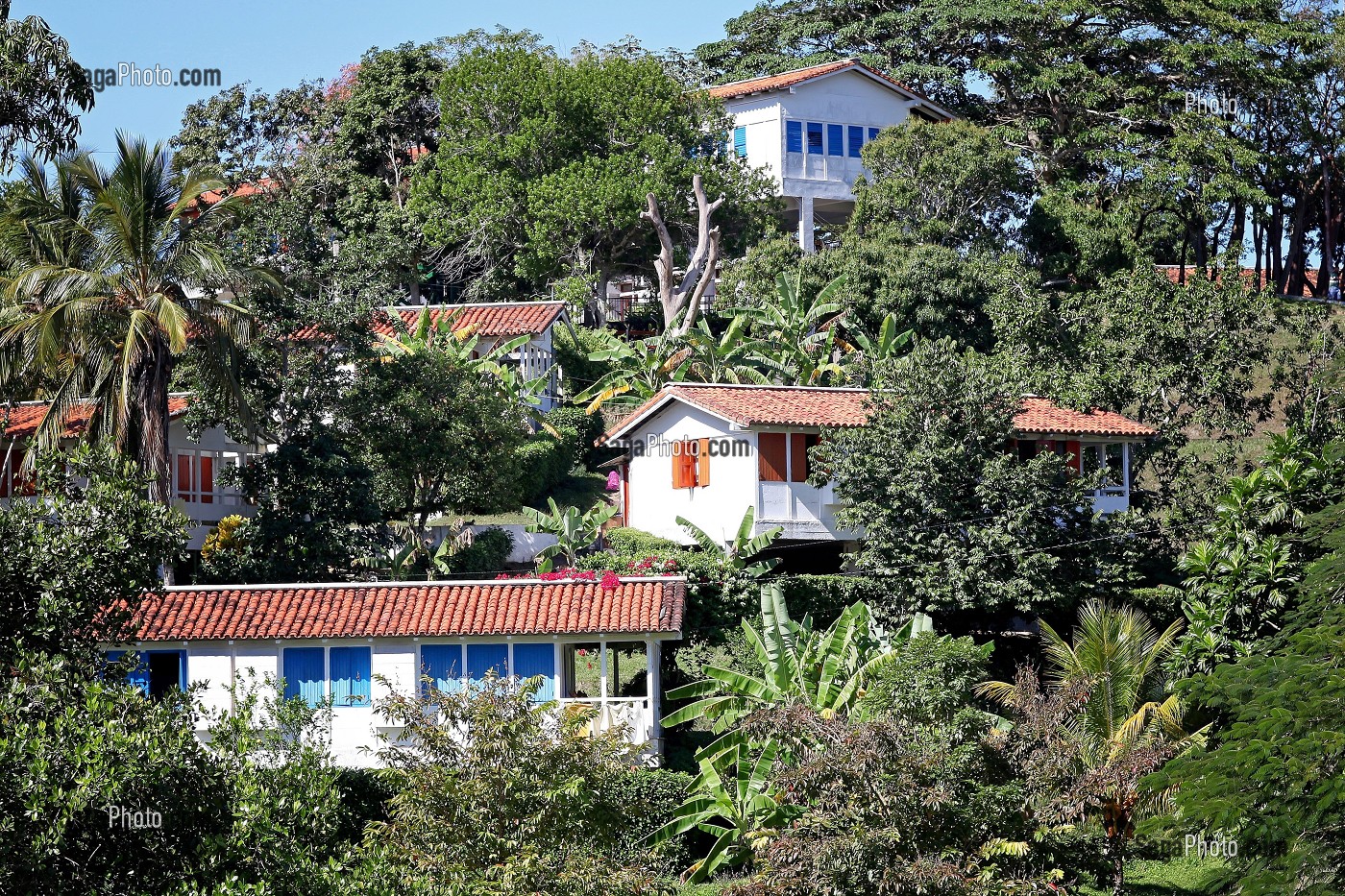 VILLAGE ECOLOGIQUE DE LAS TERRAZAS, BIOSPHERE CLASSEE RESERVE MONDIALE AU PATRIMOINE DE L'HUMANITE PAR L'UNESCO, CUBA, CARAIBES 