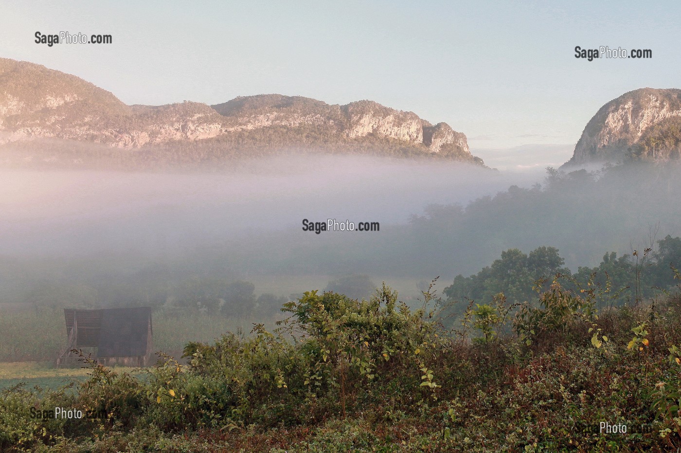 BRUMES MATINALES SUR LA VALLEE DE VINALES AU LEVER DU SOLEIL, PROVINCE DE PINAR DEL RIO, CUBA 