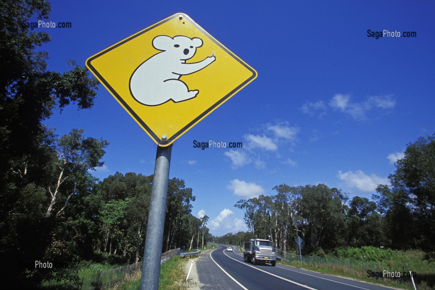 PANNEAU, KOALA, AUSTRALIE, OCEANIE 