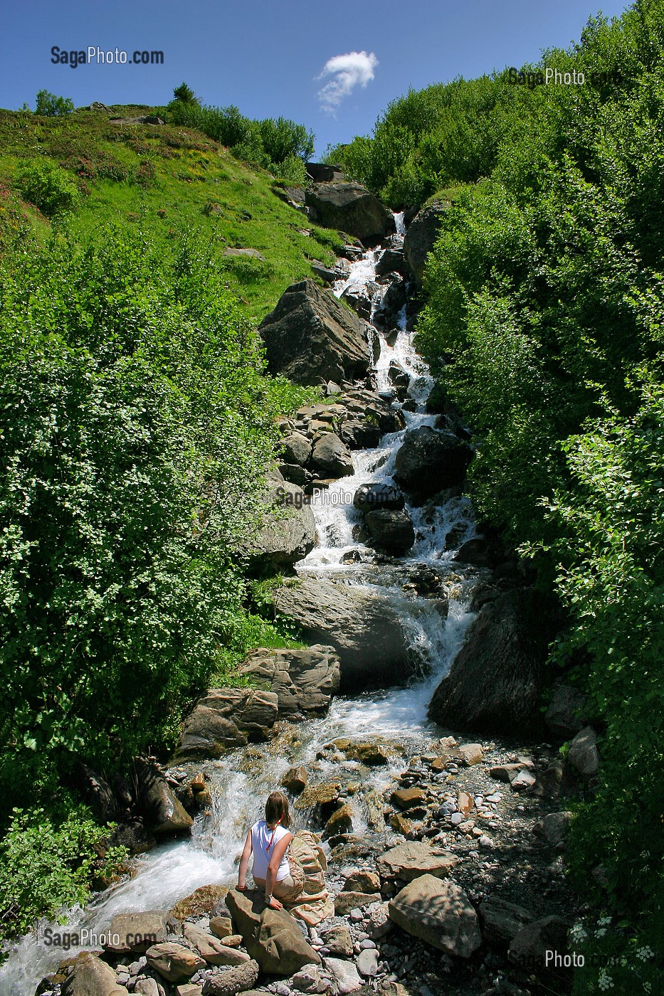 TORRENT EN ALPAGE, BEAUFORTAIN, SAVOIE (73) 