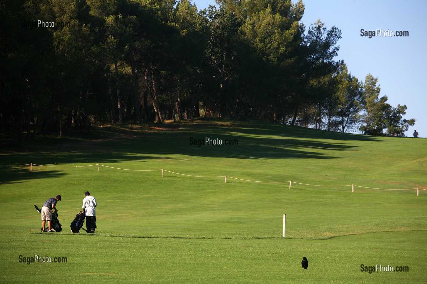 INITIATION AU GOLF SUR TERRAIN DE GOLF DE FUVEAU PRES DE LA MONTAGNE SAINTE VICTOIRE, SWING, PROF DE GOLF, COURS DE GOLF, AIX EN PROVENCE, BOUCHES-DU-RHONE (13), PROVENCE-ALPES-COTE D'AZUR, FRANCE 