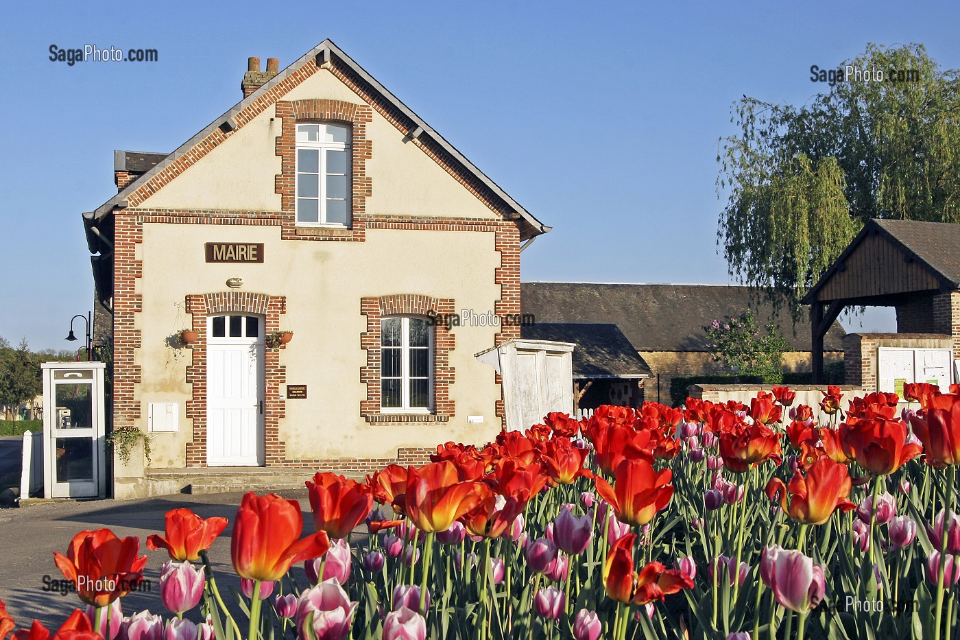 MAIRIE DE NEILLY LE BISSON AVEC MASSIF FLORAL DE TULIPES, CABINE TELEPHONIQUE, ORNE (61), BASSE-NORMANDIE, FRANCE 