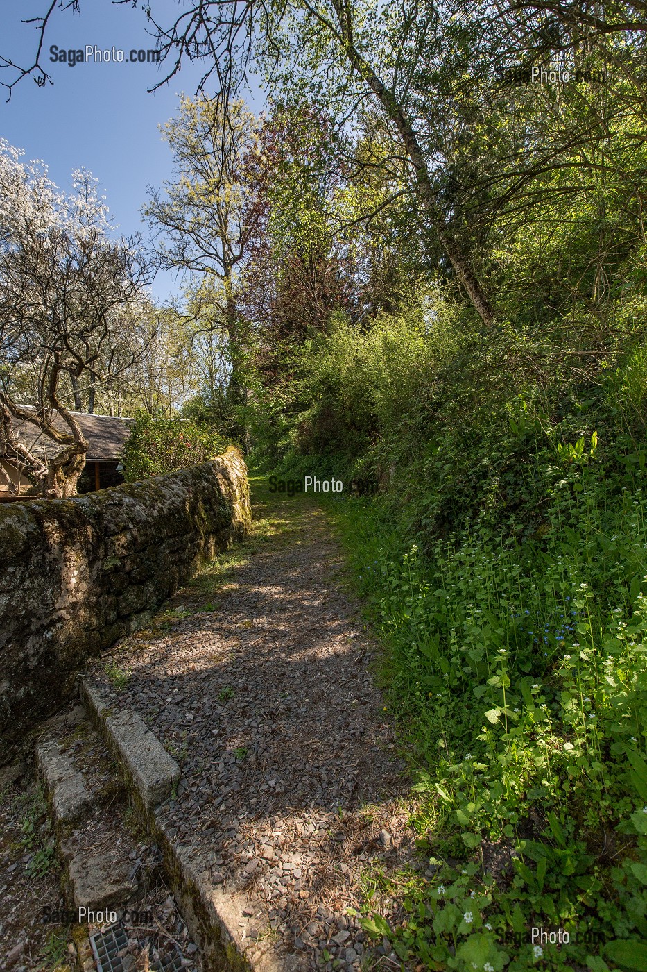 PARC NATUREL REGIONAL NORMANDIE-MAINE, ORNE (61), FRANCE 