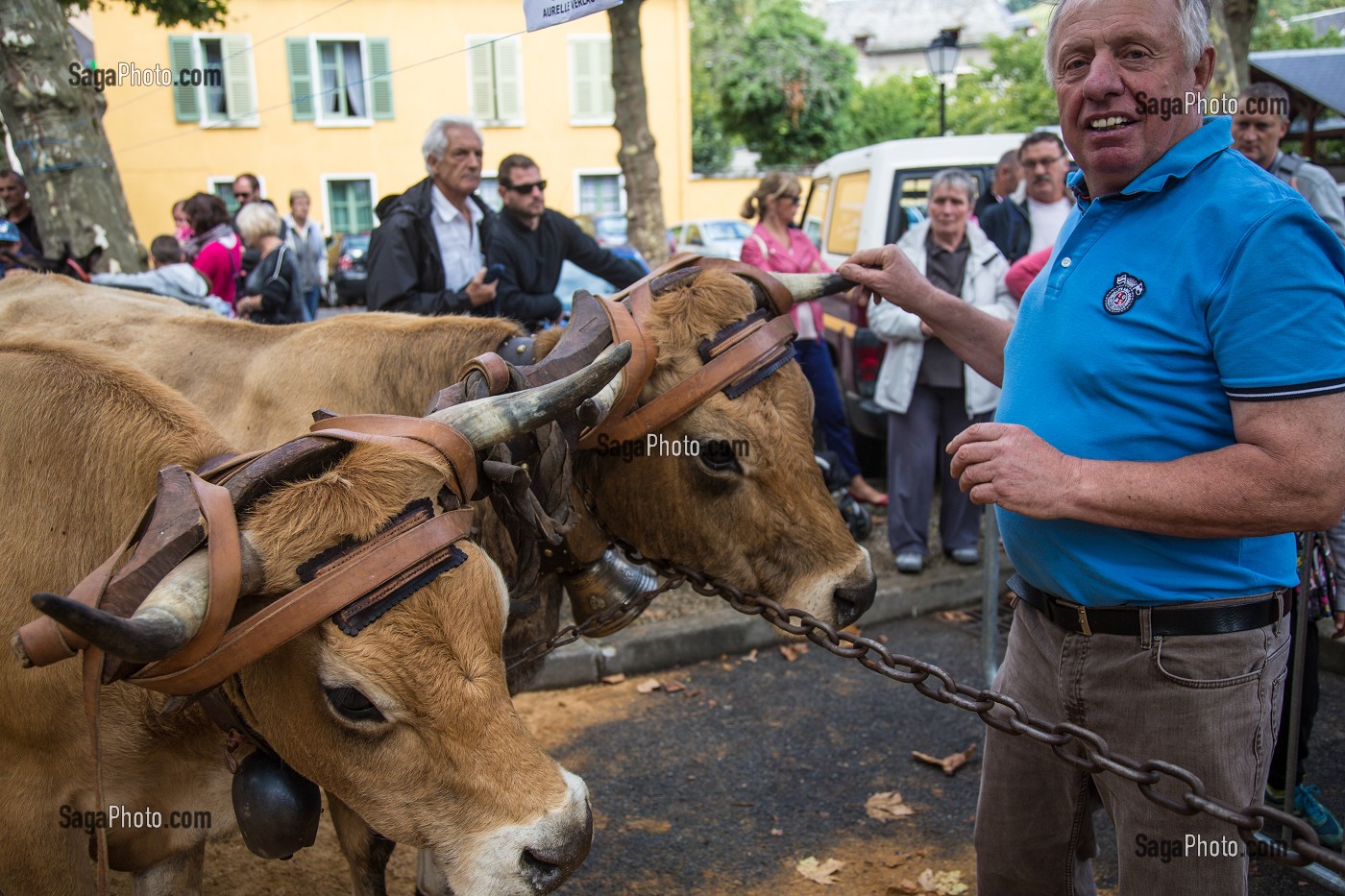 ILLUSTRATION AVEYRON (12), FRANCE 