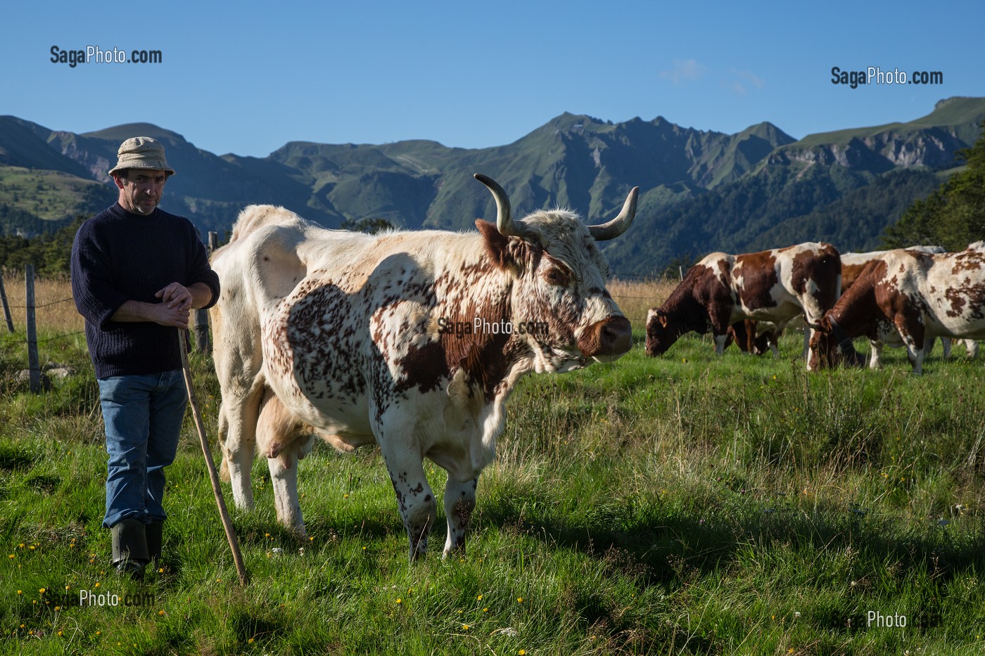 ILLUSTRATION PUY-DE-DOME, (63) AUVERGNE, FRANCE 