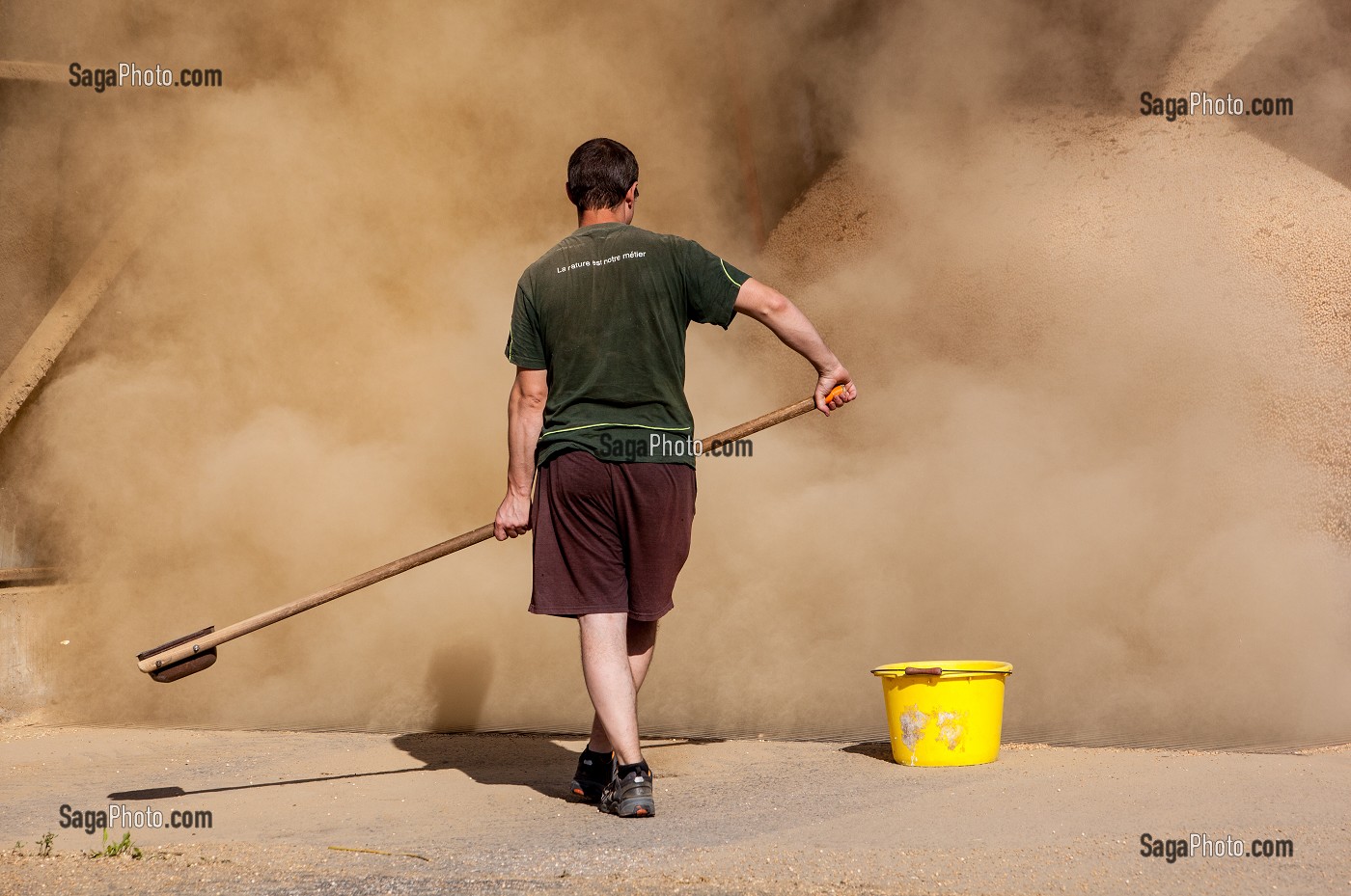 COOPERATIVE CEREALIERE D'ESSAY, ORNE (61), FRANCE 
