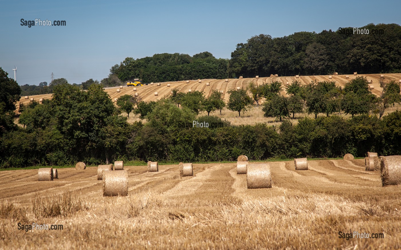 AGRICULTURE DANS L'ORNE (61), FRANCE 