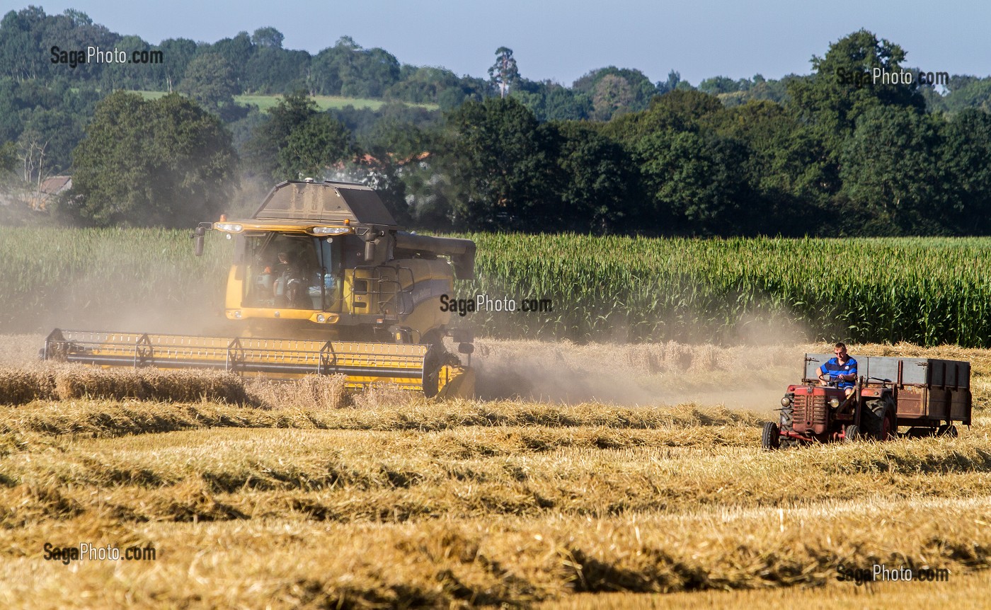 AGRICULTURE DANS L'ORNE (61), FRANCE 