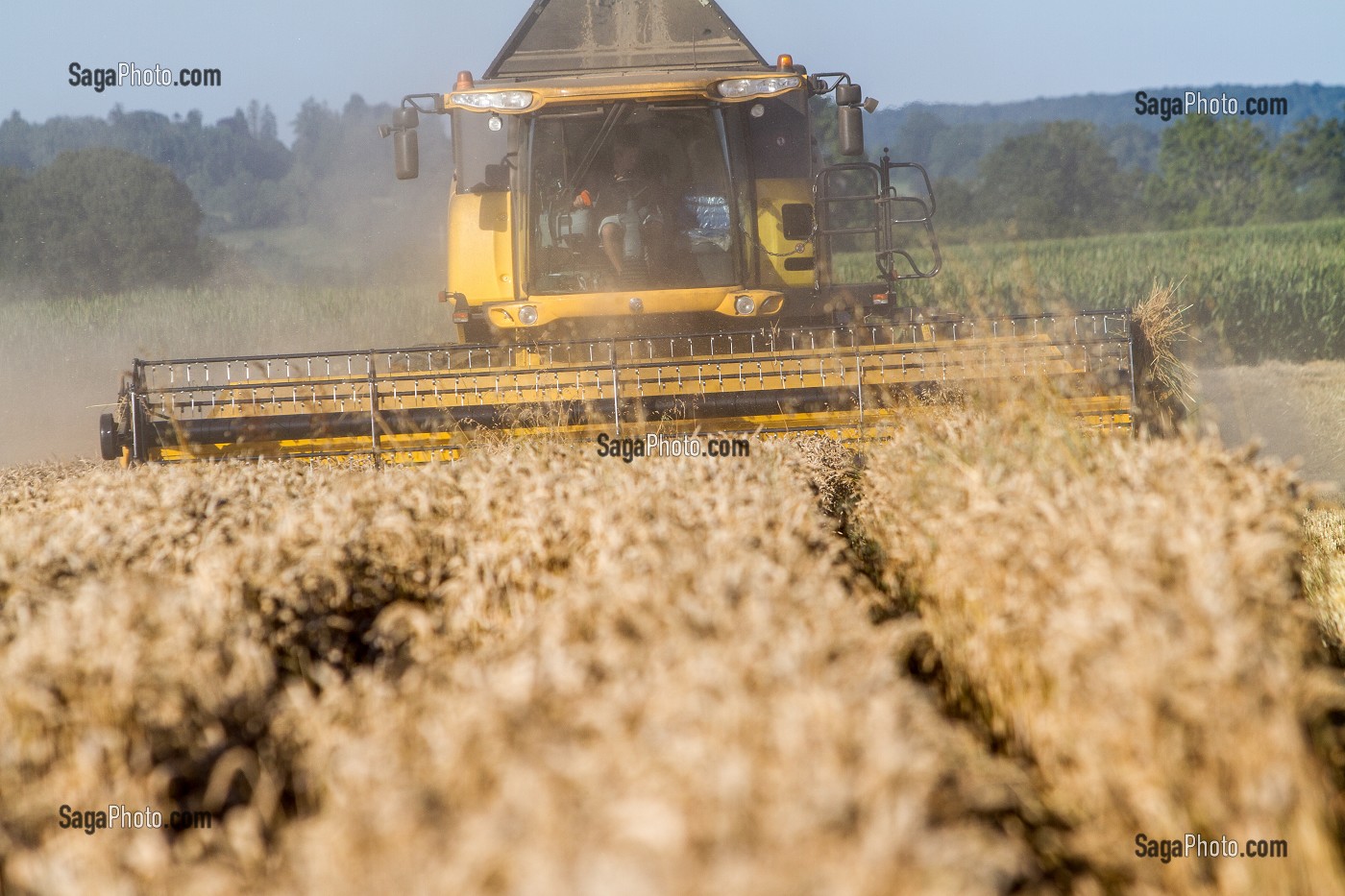 AGRICULTURE DANS L'ORNE (61), FRANCE 