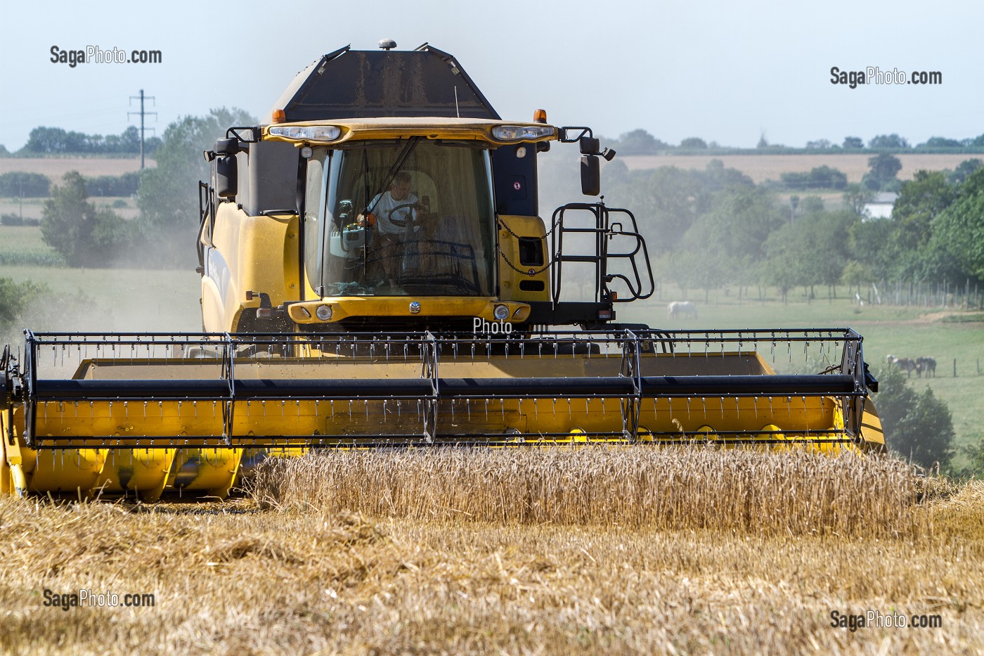 AGRICULTURE DANS L'ORNE (61), FRANCE 