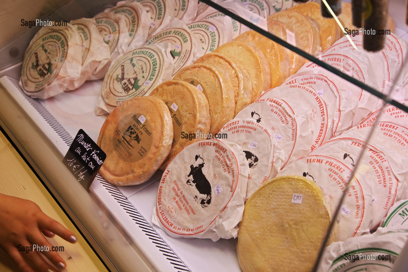 PARC NATUREL REGIONAL DES BALLONS DES VOSGES (68) HAUT-RHIN, ALSACE, FRANCE 