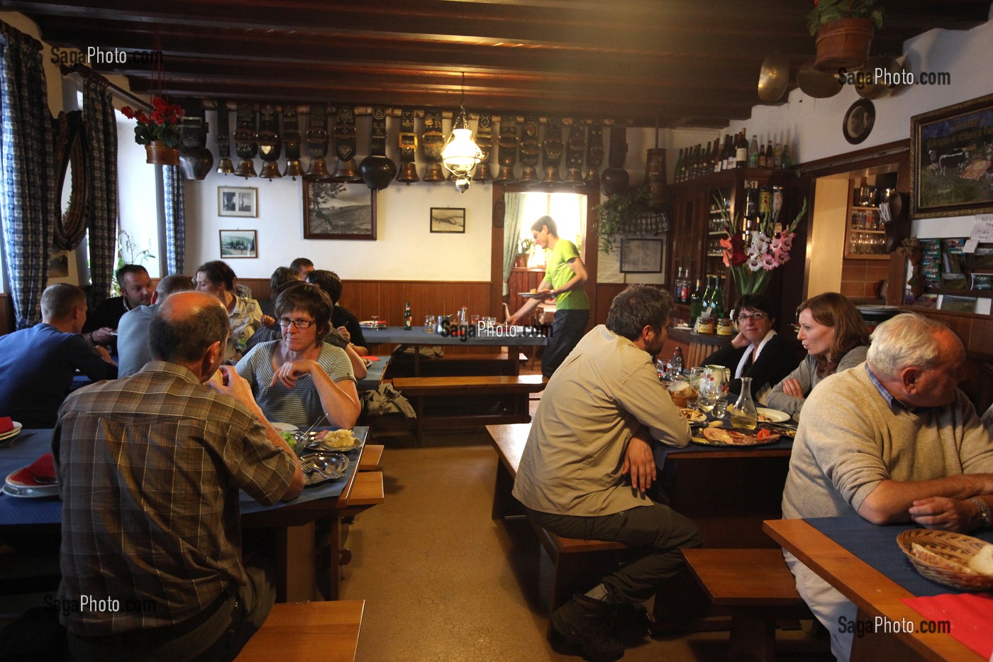 PARC NATUREL REGIONAL DES BALLONS DES VOSGES (68) HAUT-RHIN, ALSACE, FRANCE 