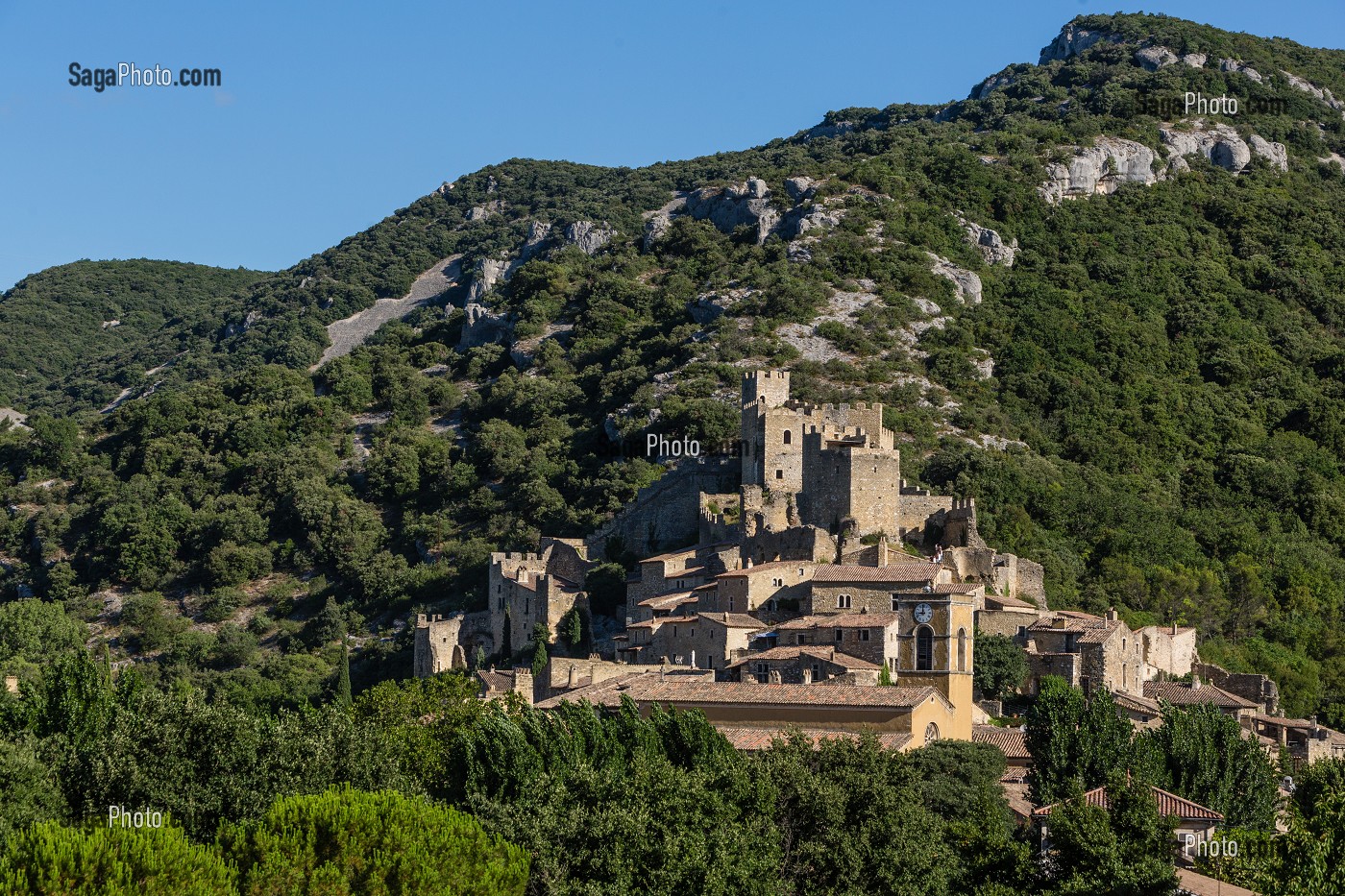 RESERVE NATURELLE DES GORGES DE L'ARDECHE, ARDECHE (07), RHONE ALPES, FRANCE 